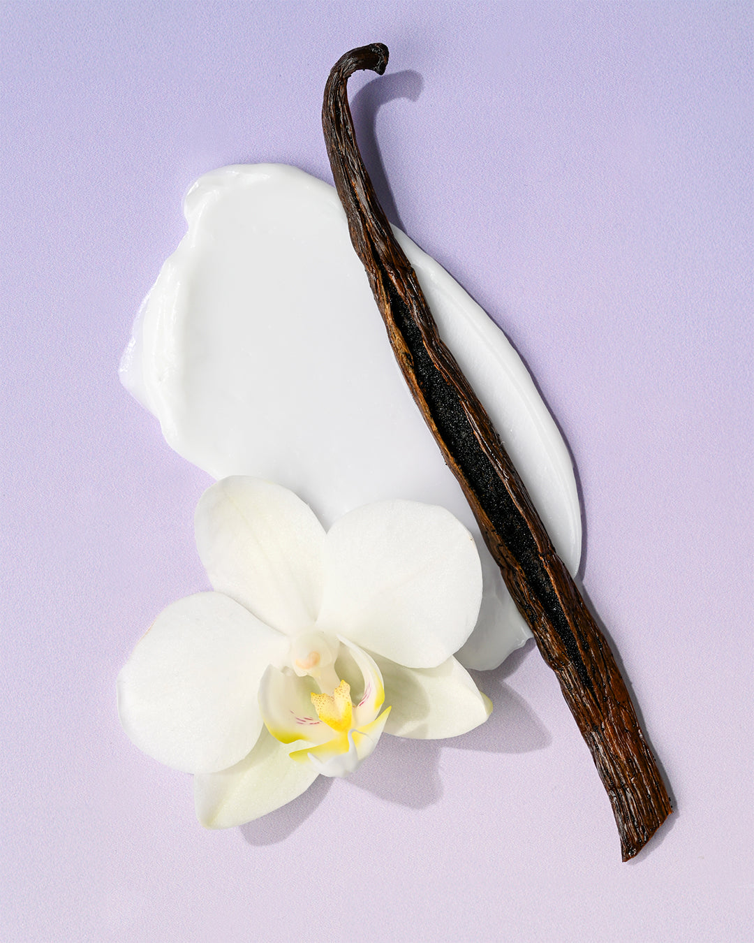 Vanilla bean and orchid flowers on a light purple background