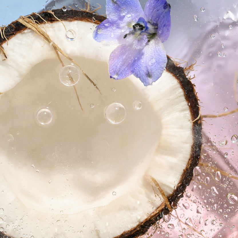 Sea Cotton & Coconut Hand Cream 80ml